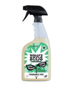Laundry Stain Remover Spray - 16oz
